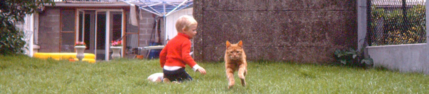 Benoit 1981